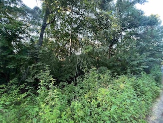 TBD Cottonwood Trail, Gilmer, TX 75645
