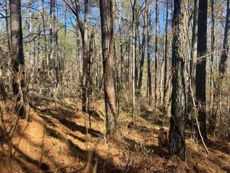 0 Wallace Tatum Rd Unit 7114967, Cumming, GA 30028