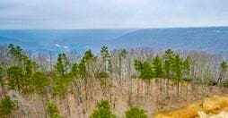 0 Summit Way Unit 1500053, Jasper, TN 37347