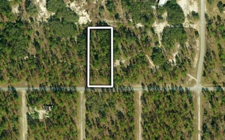 0 SE 105th Ln Unit MFROM680835, Dunnellon, FL 34431