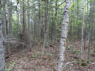 001 Lake Rd, Wilton, ME 04234