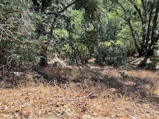 0 Elder Dr Unit OC24160877, Cedar Glen, CA 92321