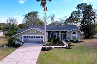 14375 Nugent Cir, Spring Hill, FL 34609