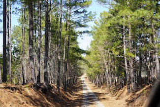 200 Davis Jeter Rd, Union, SC 29379