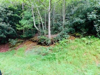 TBD Deer Haven Ln, Stuart, VA 24171