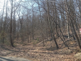 0 Lilly Dr, Charleston, WV 25312