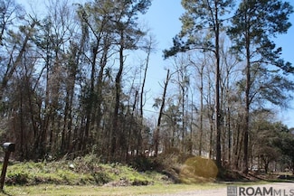TBD Brooks Dr, Denham Springs, LA 70726