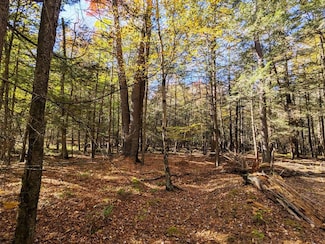 0 Moscoe Rd, White Lake, NY 12786