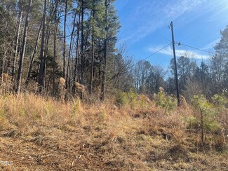 8508 Lindley Mill Rd, Snow Camp, NC 27349