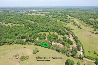 Tract 3 County Road 295, Oakwood, TX 75855