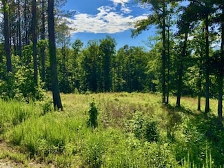 0 Bear Hollow Dr Unit 24022394, Waverly, TN 37185