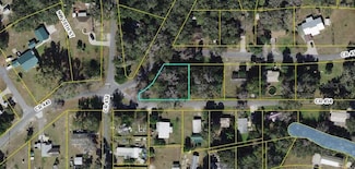 0 Cr 455 & Cr 454, Lake Panasoffkee, FL 33538