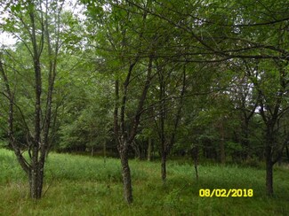 Lot #3 Stanley Dr, Mosinee, WI 54455