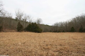 0 Null Rd Unit 18005244, Fox, AR 72560