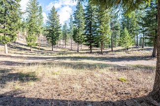 Lot 15 Muddler Ct, Clinton, MT 59825