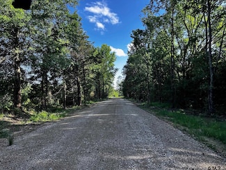 TRACT B / 231 Private Road 8507, van, TX 75790