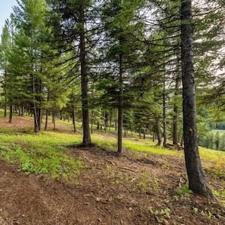 Lot 18 To Be Determined Unit 18, McCall, ID 83638