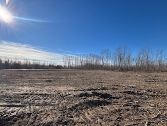 0 Brinkley Rd Unit RTC2963732, Wartrace, TN 37183