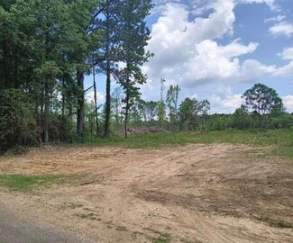 92 11 Foot Rd, Carbon Hill, AL 35549