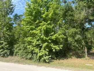 Lots 551-559 Hawthorne St, Zephyrhills, FL 33540
