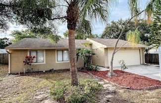 2884 Cinnamon Bear Trail, Palm Harbor, FL 34684
