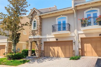 1457 Hillside Landing Dr, Tarpon Springs, FL 34688