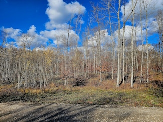 PARCEL C North Rd, Curtis, MI 49820