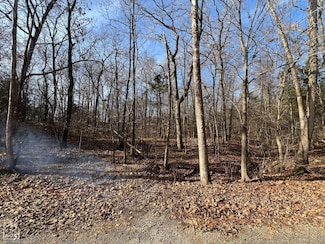 0 Kewe Dr, Cherokee Village, AR 72529