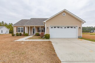 112 Michelle Ward Ln, Maple Hill, NC 28454