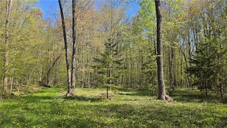 N 900 Joes Rd, Conrath, WI 54731