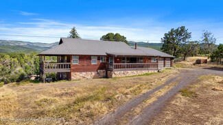 19617 Surface Creek Rd, Cedaredge, CO 81413