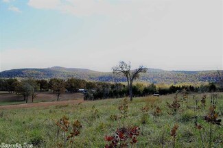 0 Blackfoot Rd Unit 17032619, Marshall, AR 72650