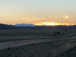 1465 Yellowstone Rd, Hartsel, CO 80449