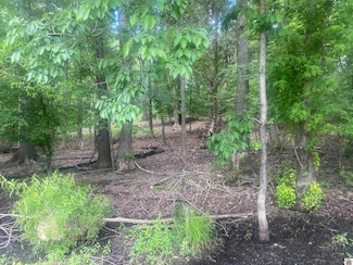 011 Breckinridge Point, Cadiz, KY 42211