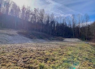33 Spankem Branch, Louisa, KY 41230