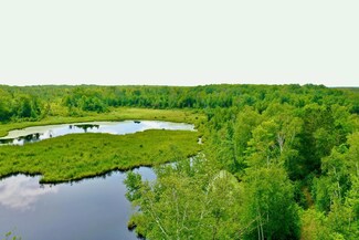 74302 Knotty Pine Rd, Bruno, MN 55712
