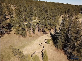 TBD Rocky Johnson Rd Unit Lot 3, Central City, SD 57754