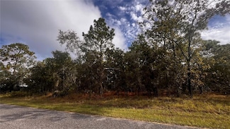 11310 Lapwing Rd, Weeki Wachee, FL 34614