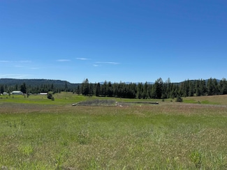 4091 Jepsen Rd, Springdale, WA 99173