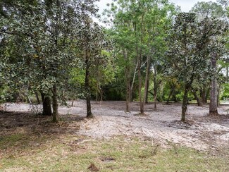 1143 Elysium Blvd, Mount Dora, FL 32757