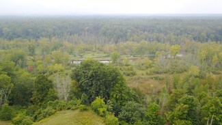 3675 Farnsworth Rd, Brethren, MI 49619