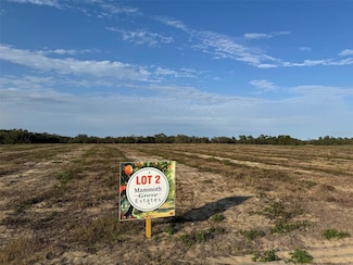 0 Mammoth Grove Unit MFRA4636477, Lake Wales, FL 33898