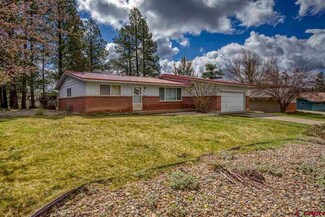 320 Mesa Dr, Pagosa Springs, CO 81147