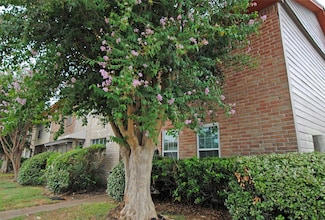 7853 Fuqua St Unit 7853, Houston, TX 77075