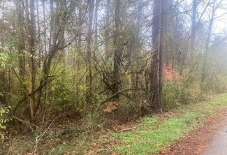 1056 Palisades Ct, Burnside, KY 42519