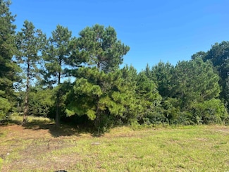 Lot 2 S Carolina 707 Unit Highway 707 Near Sal, Myrtle Beach, SC 29588