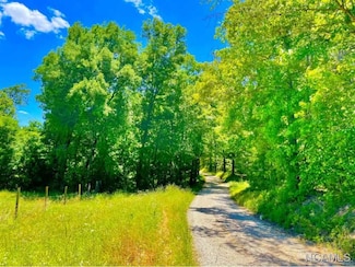 630 County Road 503, Hanceville, AL 35077