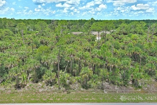 134 Navarra Ave S, Lehigh Acres, FL 33974