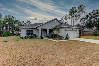 10260 Meadow Wren Ave, Weeki Wachee, FL 34613