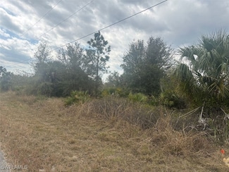 915 Maple Ave N, Lehigh Acres, FL 33972